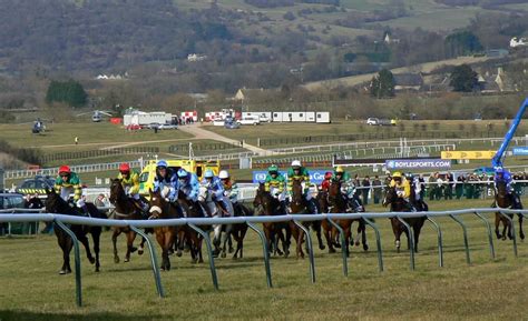 cheltenham results today|Cheltenham Festival Results .